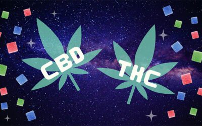 Why Try THC Edibles With CBD