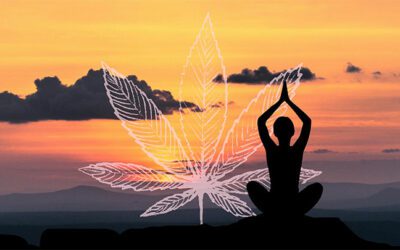 How to Combine Cannabis and Yoga