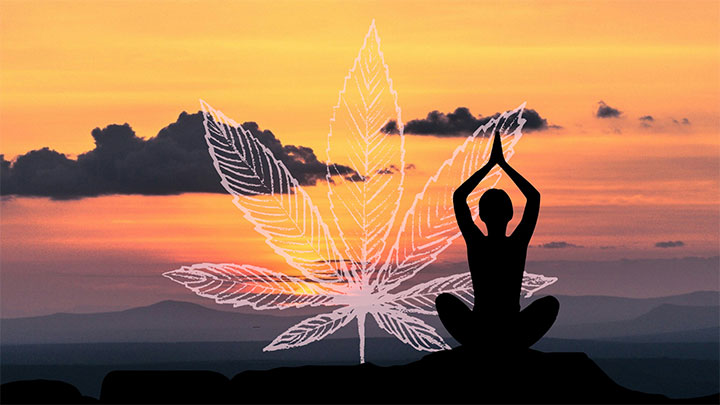 Cannabis and Yoga