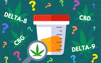 Which Hemp Products Are Detected by Drug Tests?
